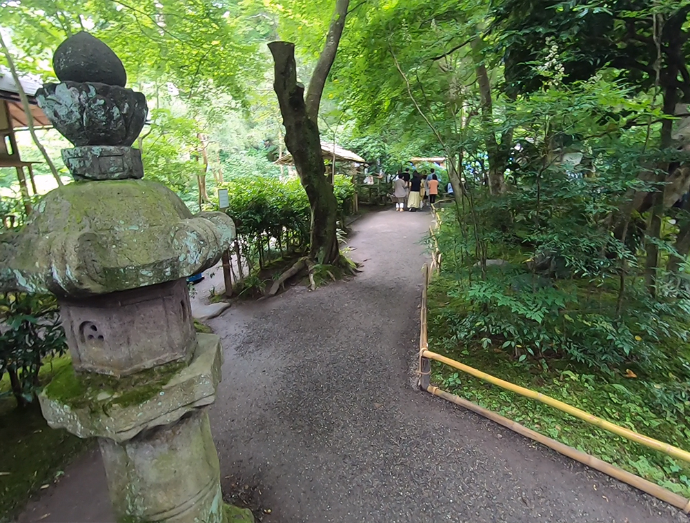 鎌倉　明月院庭