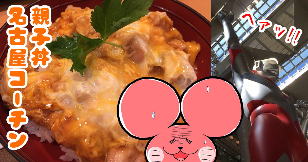 ぷんちょこブログアイキャッチ -三和の名古屋コーチン親子丼-
