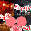 ぷんちょこブログサムネイル Miyajima night walk