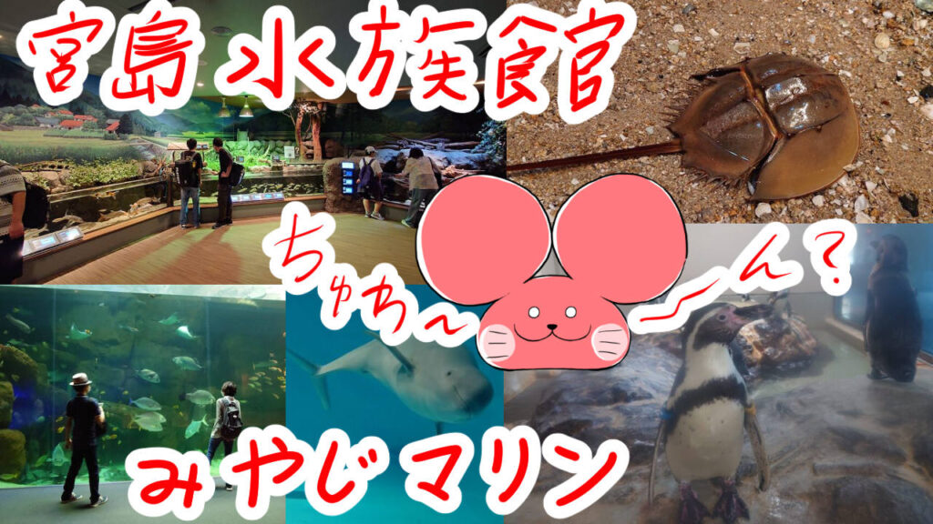 ぷんちょこブログサムネイル 宮島水族館