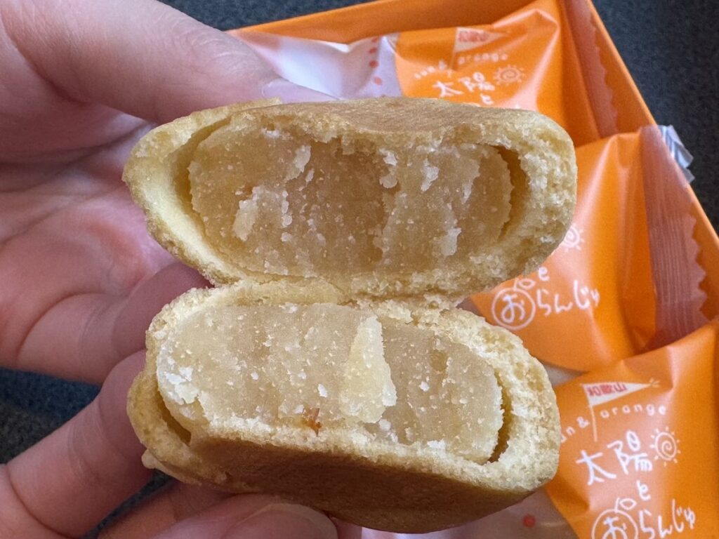 太陽とおらんじゅの断面