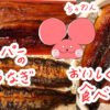 ぷんちょこブログサムネイル スーパーの鰻