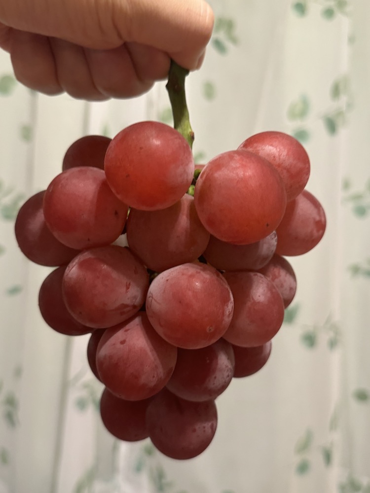 ずっしり重いルビーロマン