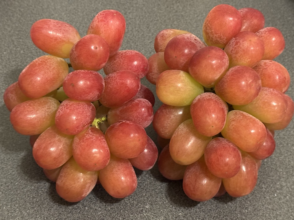 クイーンルージュビジュアル