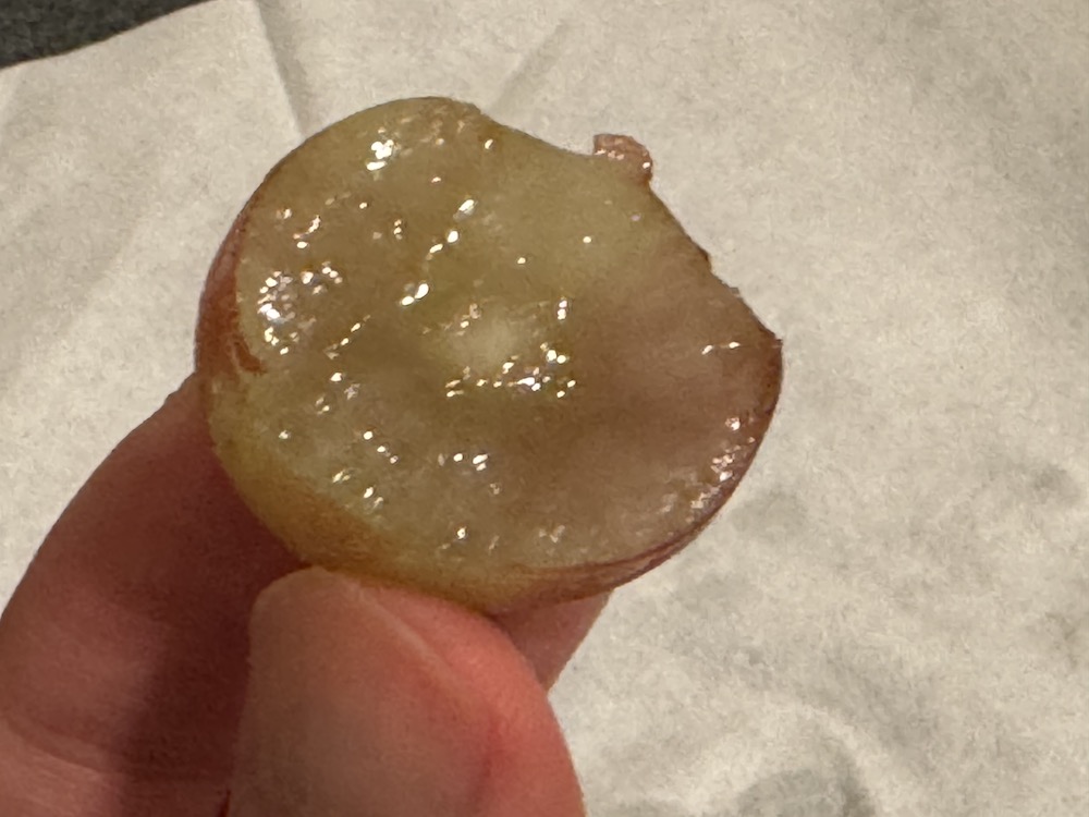 クイーンルージュ断面