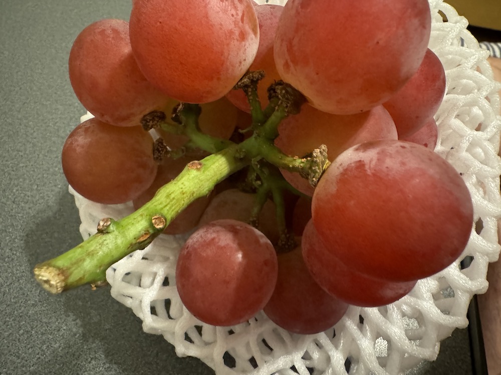 ルビーロマンの太い茎