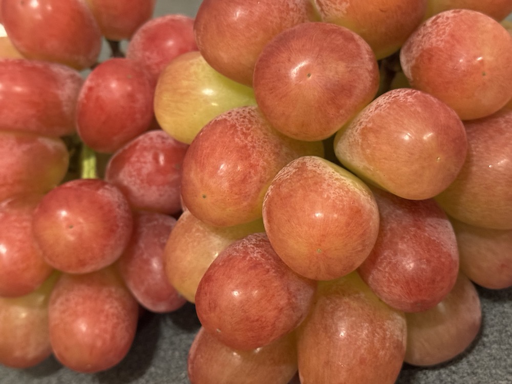 大きいクイーンルージュ