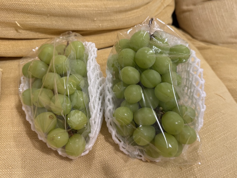 定番のシャインマスカット