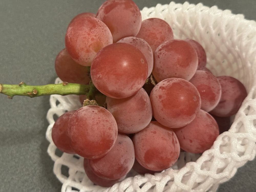 迫力のルビーロマン